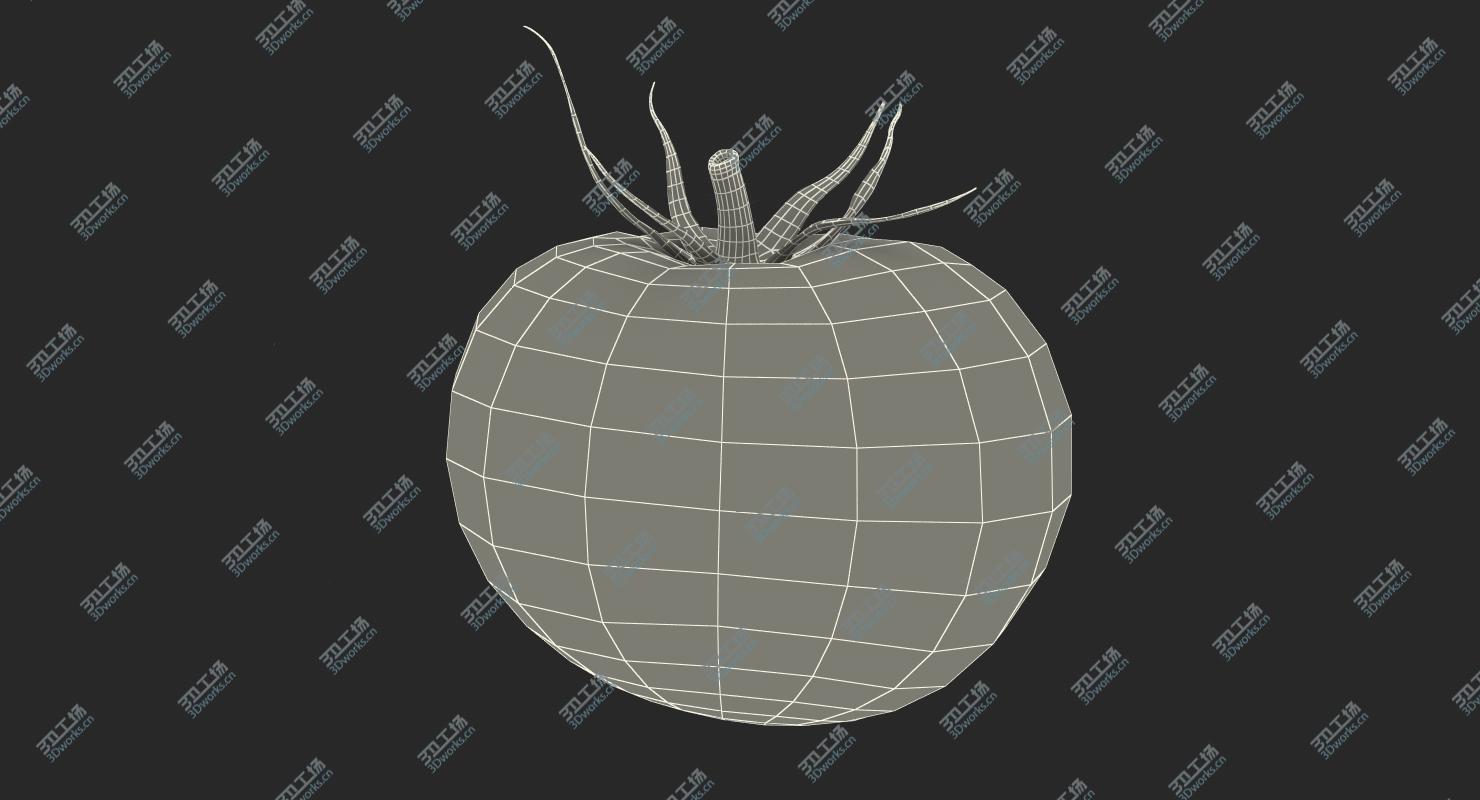 images/goods_img/2021040232/Tomato model/4.jpg
